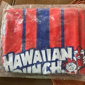 Hawaiian Punch inflatable